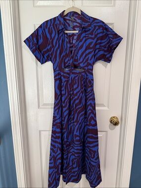 Anthropologie Blue and Purple Zebra-Print Maxi Dress